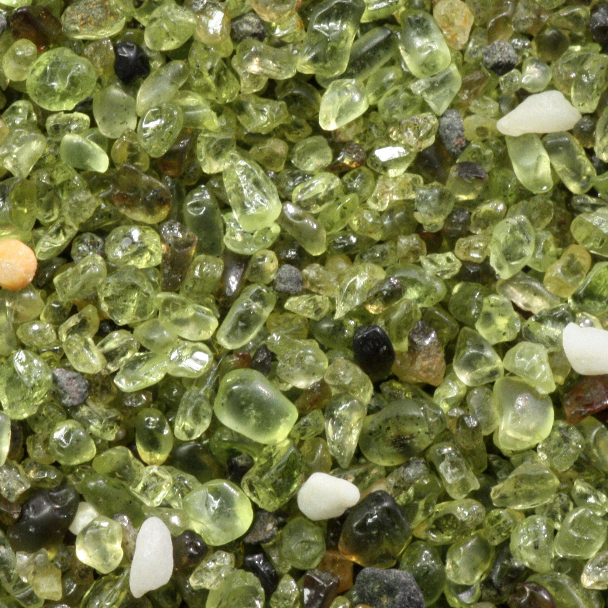 Real macro photograph of olivine-rich sand from Papakōlea, Hawaii